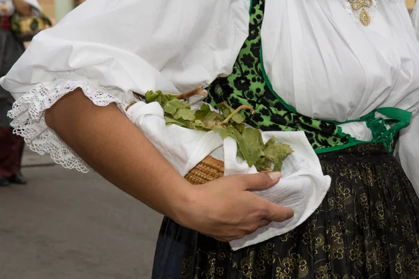 マラモッコ アルベローニ サルデーニャの祭りの名誉のクアルトゥ イタリア 2013 のブドウ祭り — ストック写真