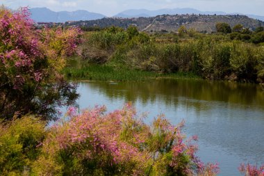 Quartu S.. E: kanallar Molentargius - Sardunya bölgesel Park içinde genel bakış