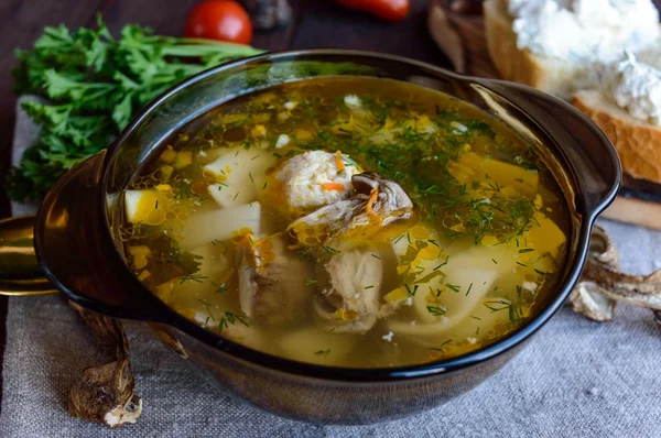 乾燥ポルチーニのスープは、ガラス ターイーンのキノコします。有機食品. — ストック写真