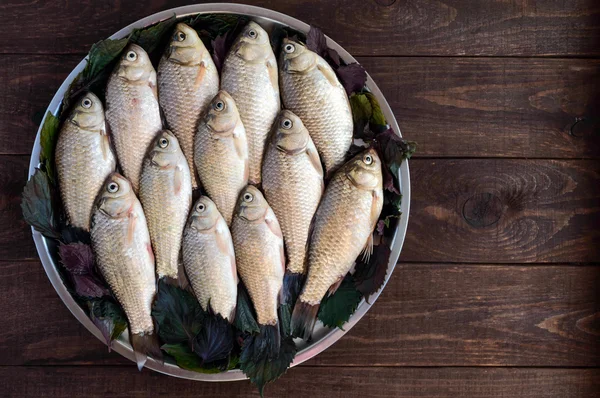 Levende vis (karper), bekleed met op een dienblad op een donkere houten achtergrond. Verse vangst. De bovenste weergave. — Stockfoto