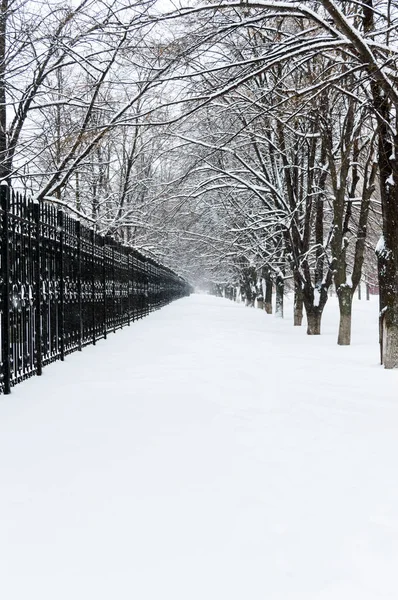 Winter landscape. View on a snowy path, leaving into the distance between the black iron fence and alley trees. — Stock Photo, Image