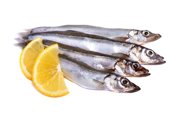 Capelim de peixe cru com fatias de limão isoladas em fundo branco . — Fotografia de Stock