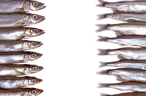 Syrové rybí filé: vlevo - hlavy, pravé - ocasy. Izolované na bílém pozadí. — Stock fotografie