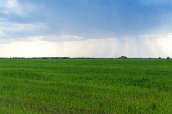 Een grote wolk van de storm over een brede groene gebied van de landbouw. In de verte die het regent. Lente landschap. — Stockfoto