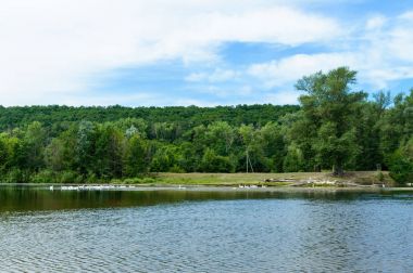 Güzel manzara nehir. Yeşil orman kıyısında.