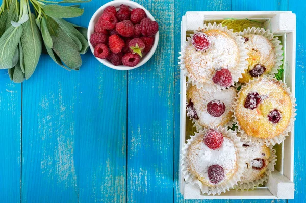 Bolos de coalhada (muffins) com framboesas, decorados com açúcar em pó — Fotografia de Stock
