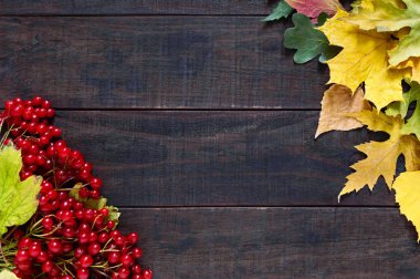 Sonbahar arka plan. Bir kartopu, Kuru ve sulu kırmızı çilek koyu ahşap arka plan üzerinde bırakır. Uzay yazıtlar için.