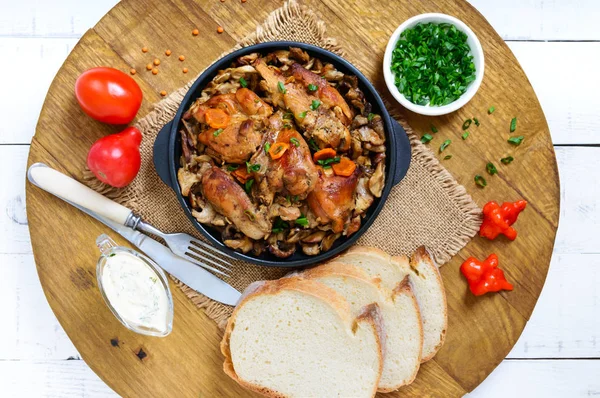 Pályázati Nyúlhúst Erdei Gombával Diétás Étel Szemközti Nézet — Stock Fotó