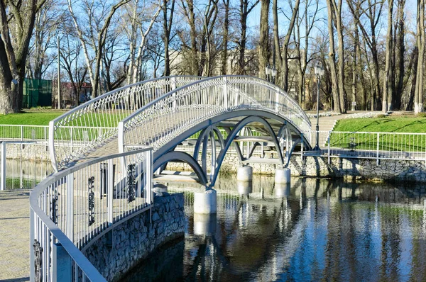 Schöne Metallbrücke Park Hochzeitsbrücke Herbst Frühling Landschaft — Stockfoto
