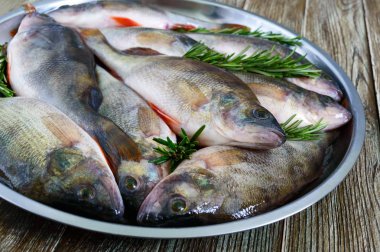 Bir tepsi üzerinde taze çiğ balık yığını. Yakın çekim. Sazan. Taze catch.