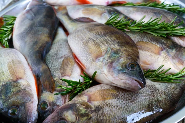 Una Pila Pescado Crudo Fresco Una Bandeja Primer Plano Carpa —  Fotos de Stock