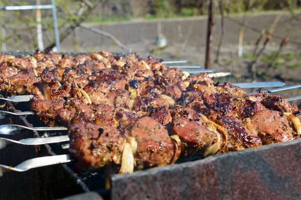 Vas Nyárs Szabadtűzön Főtt Hús Shish Kebab Pörkölt Szabadban Piknik — Stock Fotó