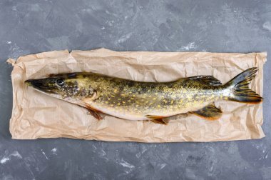 Masada çiğ turna balığı var. Taze av. Beslenme ürünü. Üst Manzara. Pişirmeye hazır..