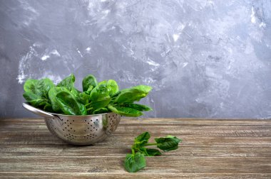 Tahta masadaki bir kasede taze ıspanak yaprakları. Faydalı, lezzetli, düşük kalorili sebzeler. Genç ıspanak filizleri. Keto diyeti. Boşluğu kopyala