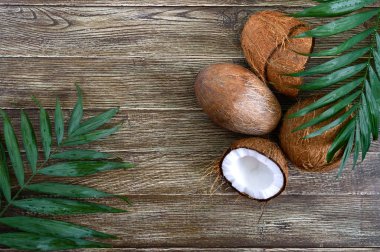 Hindistan cevizi. Hindistan cevizi, hindistan cevizi kabuğu ve ahşap arka planda yeşil yapraklar. Büyük kaçık. Kabuğunda tropik meyve hindistan cevizi. Spa mı? Yemek fotoğrafı. Fotoğraf arkaplanı. Doku tropikal meyvesi. Boşluğu kopyala.