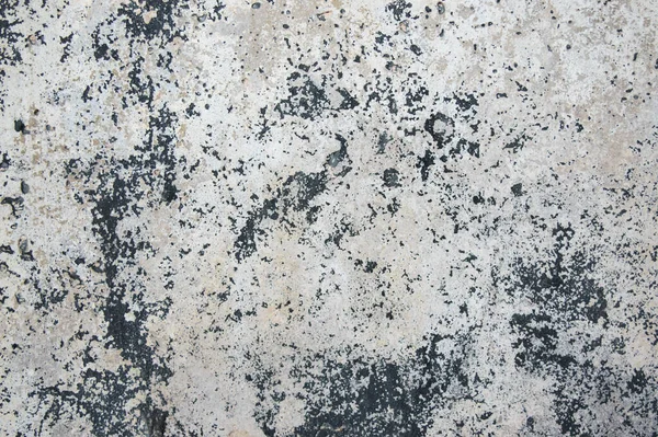 Old Gray Concrete Background Cracks Photo Background — Stock Photo, Image