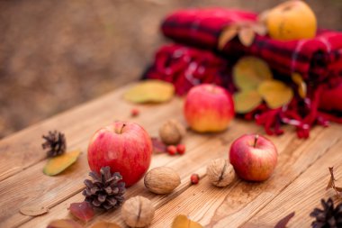 Sonbahar sakin bir hayat