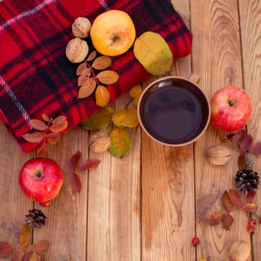 Sonbahar sakin bir hayat