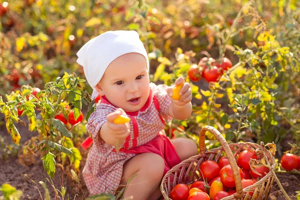 Child in a garden — Stock Photo, Image