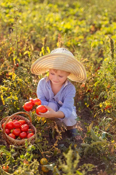 Criança em um jardim — Fotografia de Stock