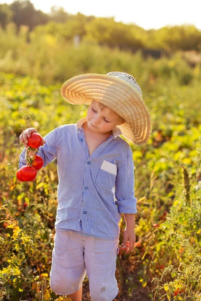 Kind in een tuin — Stockfoto