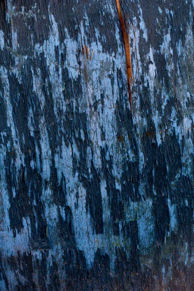 Вінтажні текстури деревини — стокове фото
