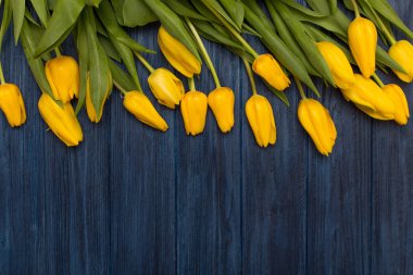 Düz yatıyordu çiçekler