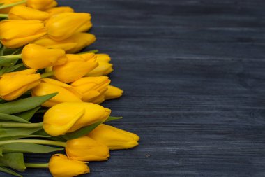 Düz yatıyordu çiçekler