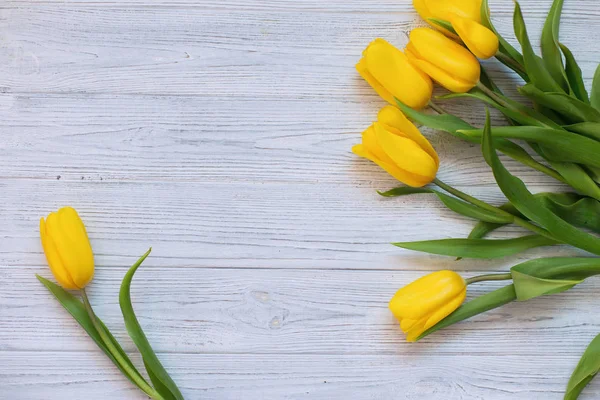 Festliche Frühlingskomposition. flache Lage — Stockfoto