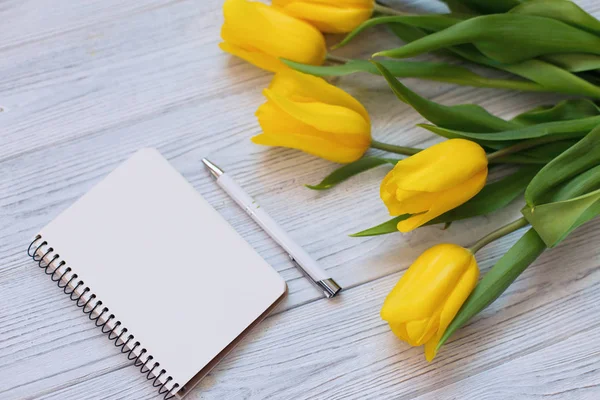 Composición festiva de primavera. Puesta plana — Foto de Stock