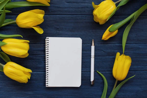 Composición festiva de primavera. Puesta plana — Foto de Stock