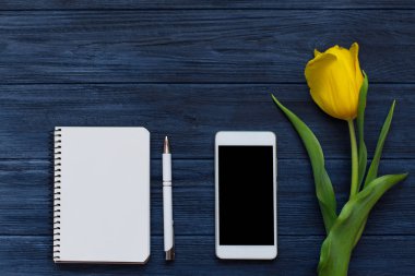 Festival bahar kompozisyon. Düz yatıyordu