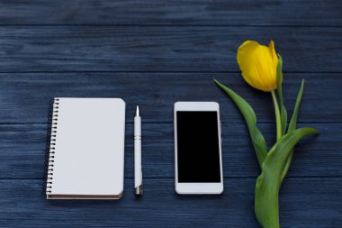 Festival bahar kompozisyon. Düz yatıyordu