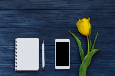 Festival bahar kompozisyon. Düz yatıyordu