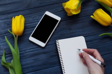 Festival bahar kompozisyon. Düz yatıyordu