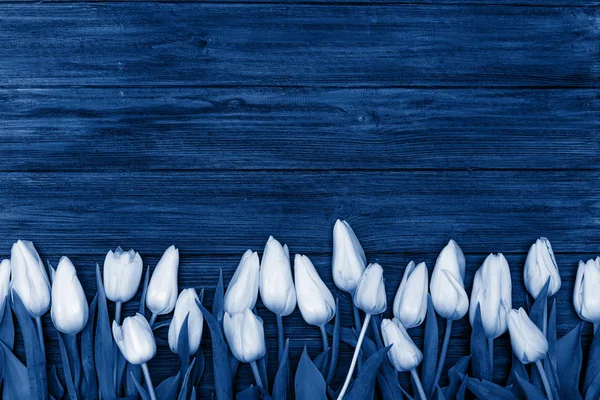 Frühling Hintergrund mit Blumen — Stockfoto