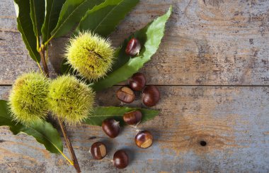 Rano ricci e castagne