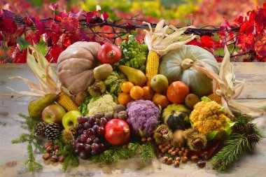 FRUTTA E VERDURA VARIA AUTUNNALE