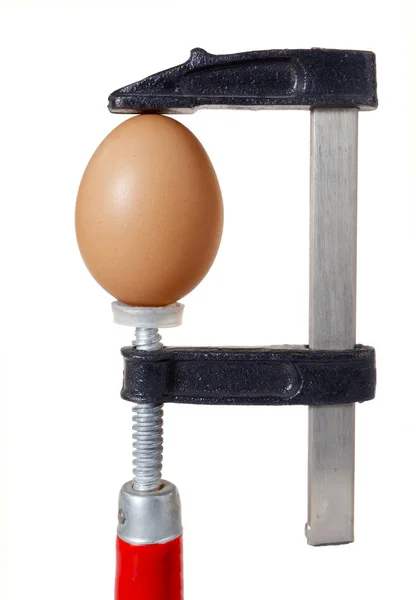 Uovo nella morsa — Stock fotografie