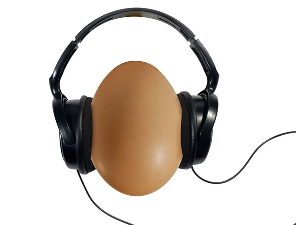 Uovo che ascolta musica — kuvapankkivalokuva