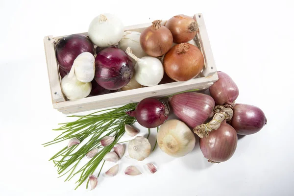 Assortimento di cipolle in cassetta — Foto Stock