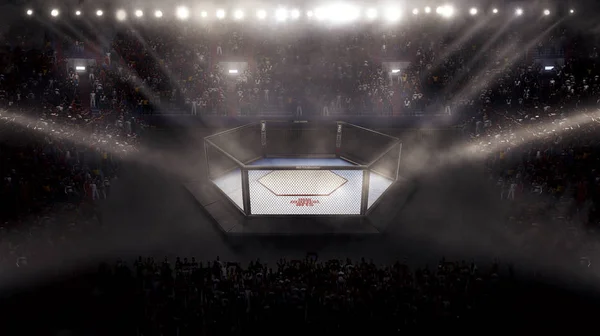 Boş mma arena yan görünüm ışıkları altında. tam tribün. 3D render