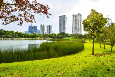 Yaz güneşli ağaçlar ve yeşil ot Desa park City Kuala Lumpur Malezya.