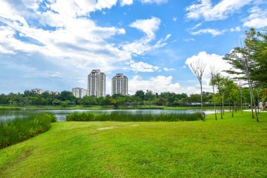Yaz güneşli ağaçlar ve yeşil ot Desa park City Kuala Lumpur Malezya.