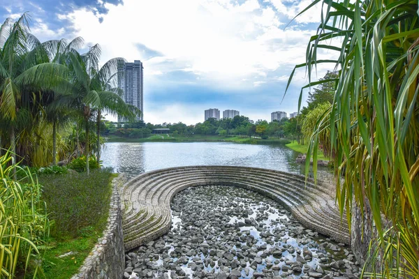 Yaz güneşli ağaçlar ve yeşil ot Desa park City Kuala Lumpur Malezya.