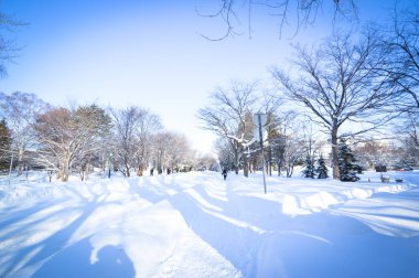 Winter scene Sapporo, Hokkaido, Japan. clipart