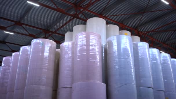 Fabricação de papel higiénico e guardanapos — Vídeo de Stock