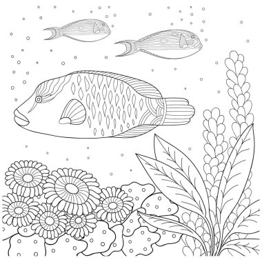 Doodle desen siyah ve beyaz. Boyama kitabı için deniz desen. Deniz, balık, deniz yosunu, kabarcıklar. Yetişkin ve çocuklar için boyama kitabı.