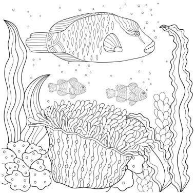 Doodle desen siyah ve beyaz. Boyama kitabı için deniz desen. Deniz, balık, deniz yosunu, kabarcıklar. Yetişkin ve çocuklar için boyama kitabı.