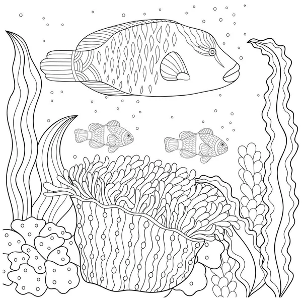 Doodle vzor v černé a bílé. Mořské vzor pro omalovánky. Moře, ryby, mořské řasy, bubliny. Omalovánky pro děti i dospělé. — Stockový vektor